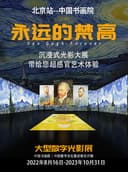 “永远的梵高”大型数字光影展