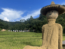 每日一景 | 在老爪箐 自由选择一种慢生活