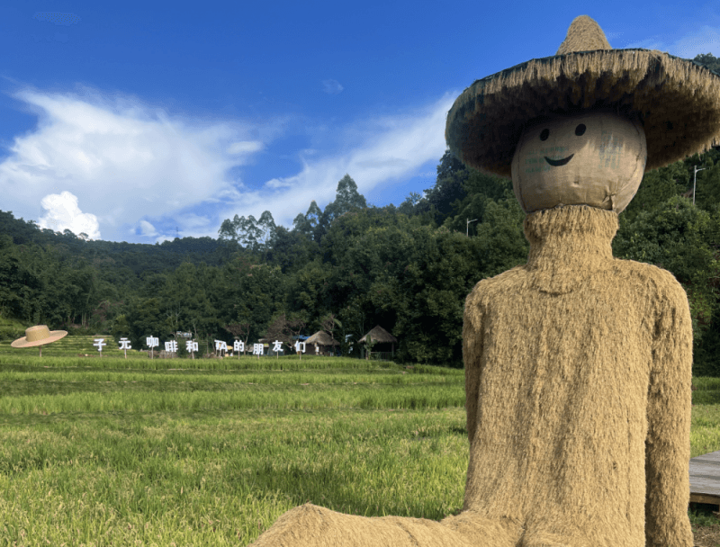 每日一景 | 在老爪箐 自由选择一种慢生活