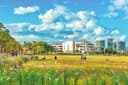 昆明福保半岛：湖畔田野里的城市新生活