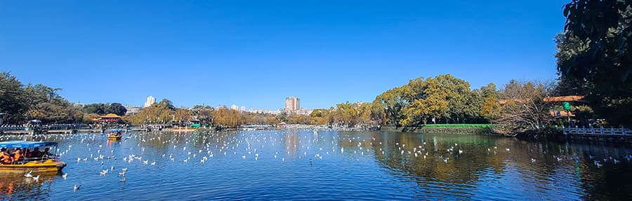 习近平同比利时国王菲利普就中比建交55周年互致贺信