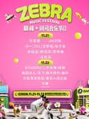 巅峰·斑马音乐节